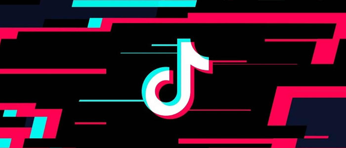 Tik Tok Auto Liker 2020 – Get 1000+ Free TikTok Followers no Verification